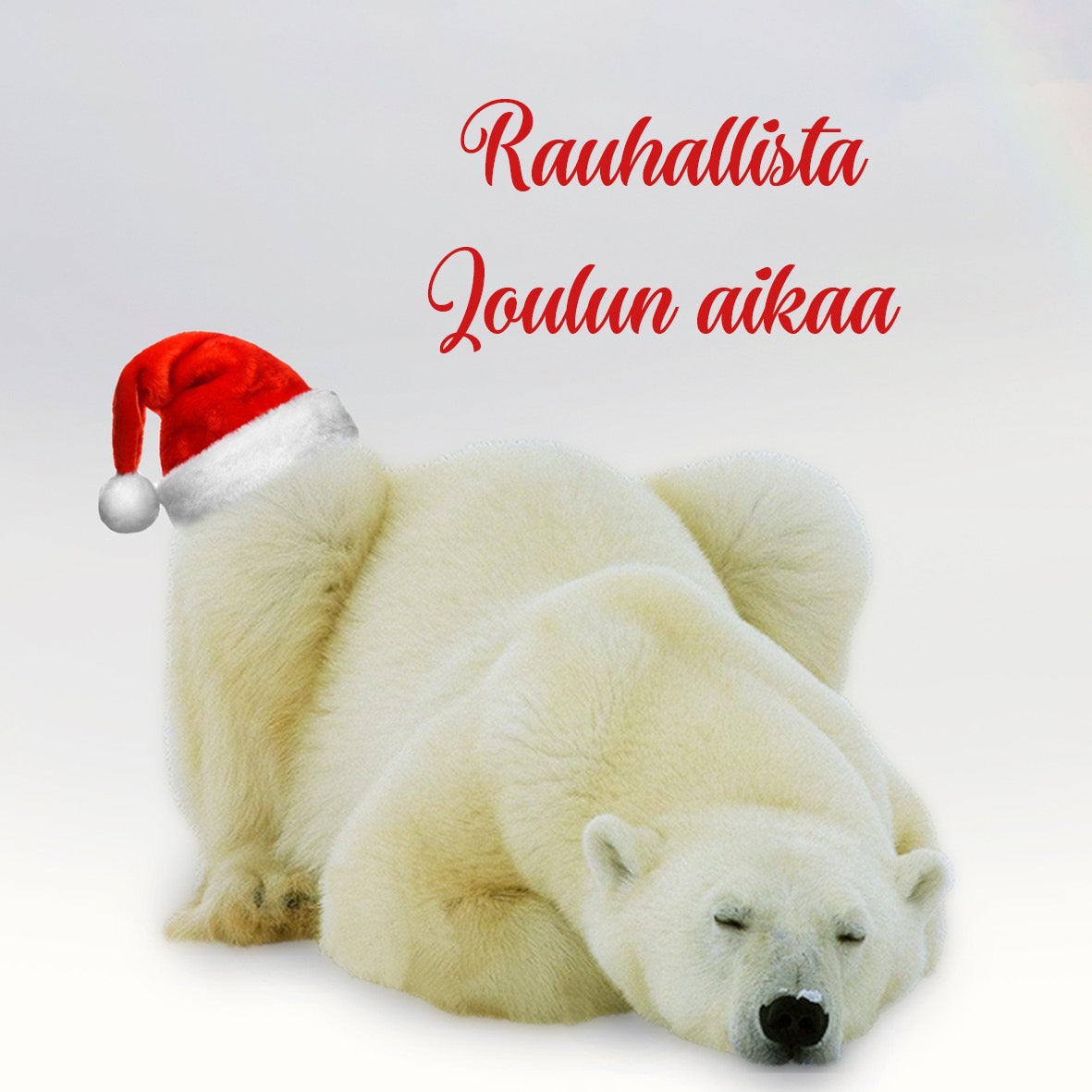 Rauhallista joulua